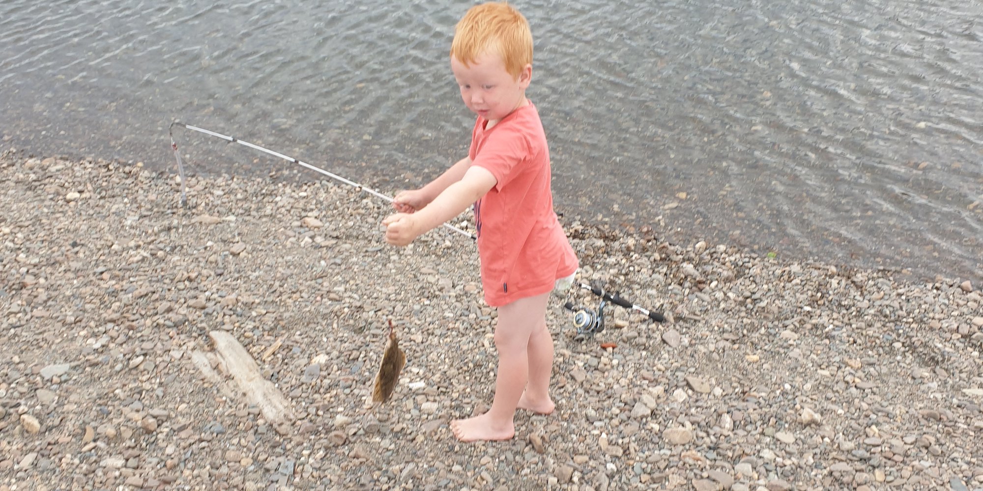 Første fisk i Namsen.